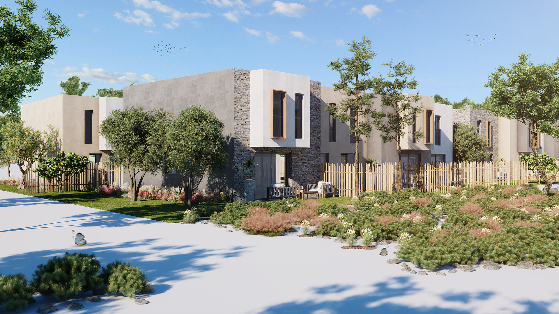 perspective oliveraie