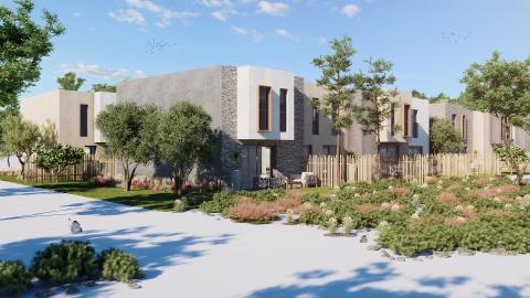 perspective oliveraie