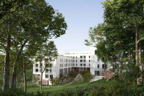 Perspective-Creanova