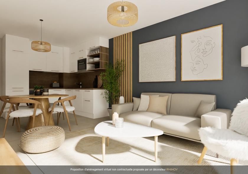 Projet 3d Montauban salon