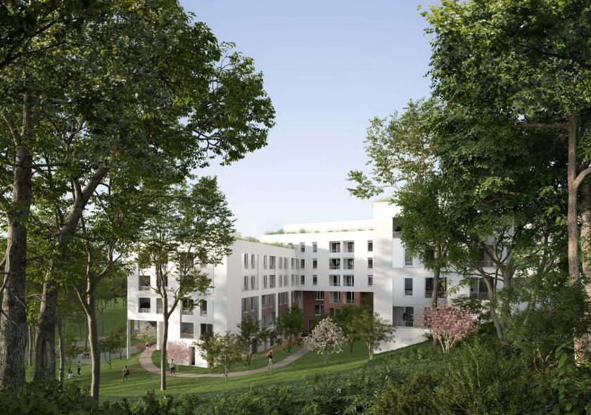 Perspective-Creanova